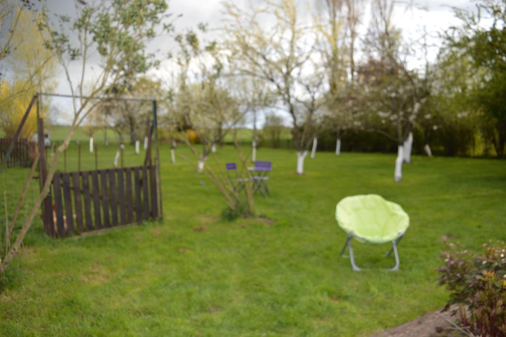Bed and Breakfast Au Passage Des Grues Drosnay Екстер'єр фото