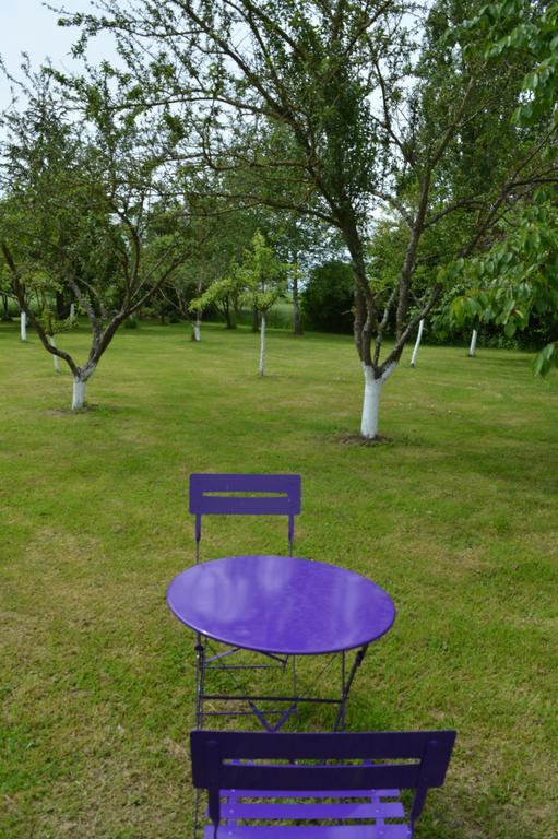 Bed and Breakfast Au Passage Des Grues Drosnay Екстер'єр фото