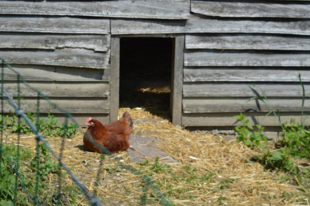 Bed and Breakfast Au Passage Des Grues Drosnay Екстер'єр фото